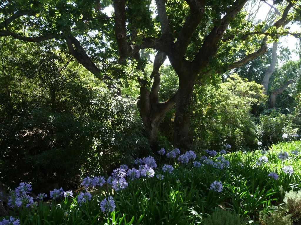 Klein Waterval Riverside Lodge Franschhoek Exterior foto